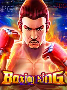 Descubra o Mundo Empolgante de BoxingKing